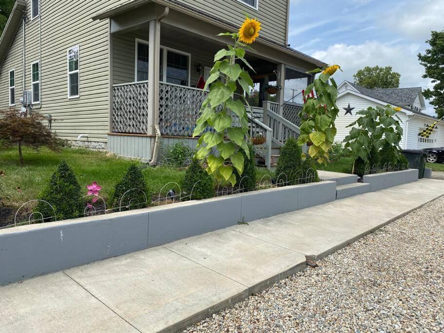 Solar Roof, Eco-Friendly Home Baltimore Exterior photo